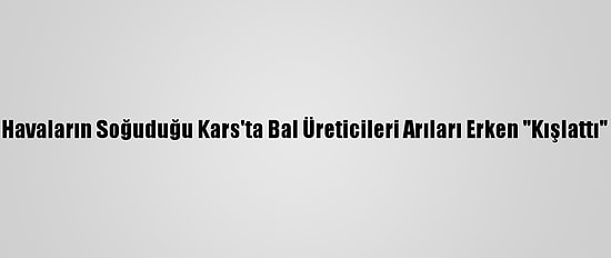 Havaların Soğuduğu Kars'ta Bal Üreticileri Arıları Erken "Kışlattı"