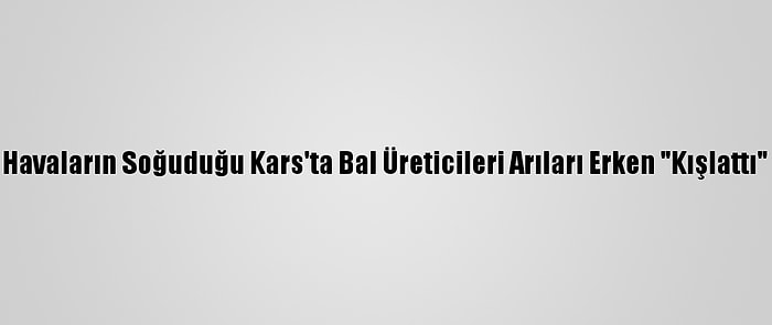 Havaların Soğuduğu Kars'ta Bal Üreticileri Arıları Erken "Kışlattı"