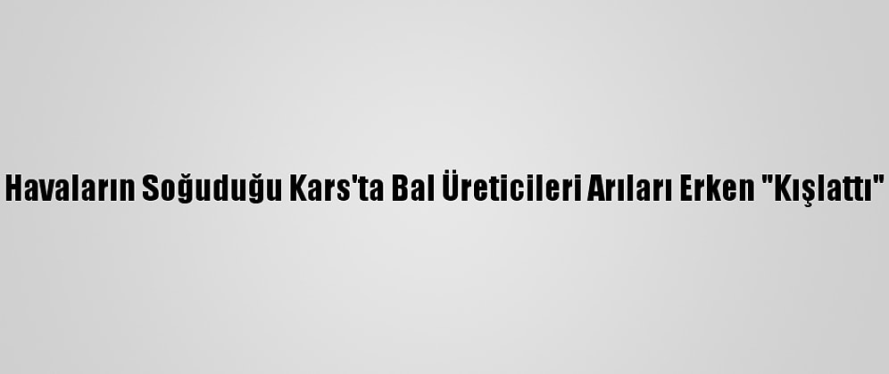 Havaların Soğuduğu Kars'ta Bal Üreticileri Arıları Erken "Kışlattı"