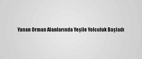 Yanan Orman Alanlarında Yeşile Yolculuk Başladı