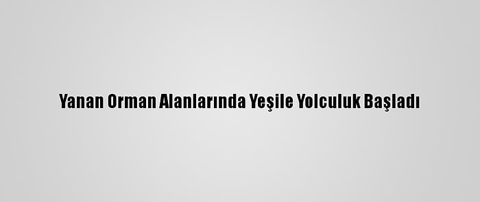 Yanan Orman Alanlarında Yeşile Yolculuk Başladı