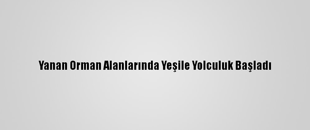 Yanan Orman Alanlarında Yeşile Yolculuk Başladı