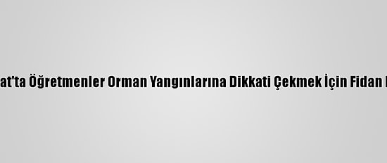 Yozgat'ta Öğretmenler Orman Yangınlarına Dikkati Çekmek İçin Fidan Dikti