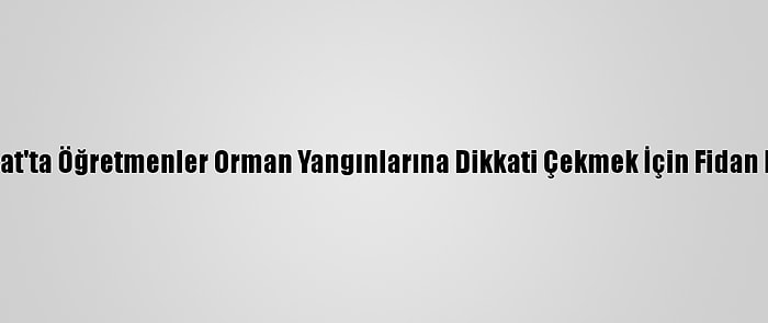 Yozgat'ta Öğretmenler Orman Yangınlarına Dikkati Çekmek İçin Fidan Dikti