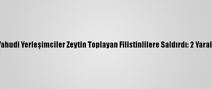 Yahudi Yerleşimciler Zeytin Toplayan Filistinlilere Saldırdı: 2 Yaralı