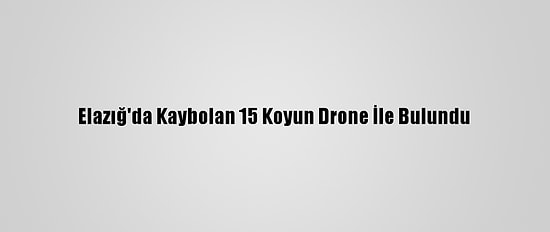Elazığ'da Kaybolan 15 Koyun Drone İle Bulundu