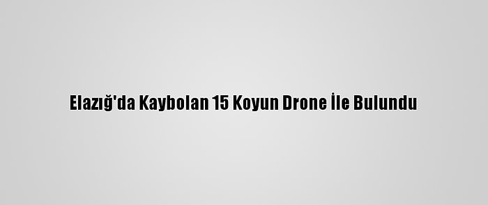 Elazığ'da Kaybolan 15 Koyun Drone İle Bulundu