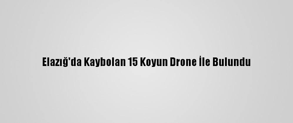 Elazığ'da Kaybolan 15 Koyun Drone İle Bulundu