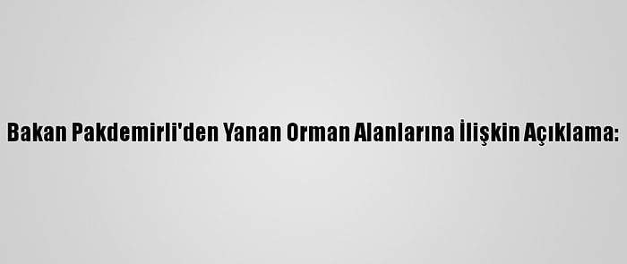 Bakan Pakdemirli'den Yanan Orman Alanlarına İlişkin Açıklama: