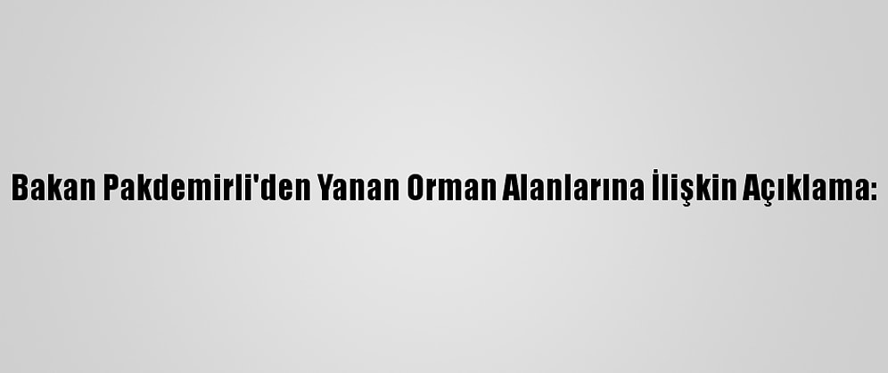 Bakan Pakdemirli'den Yanan Orman Alanlarına İlişkin Açıklama: