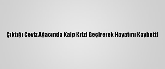 Çıktığı Ceviz Ağacında Kalp Krizi Geçirerek Hayatını Kaybetti