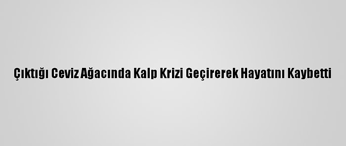 Çıktığı Ceviz Ağacında Kalp Krizi Geçirerek Hayatını Kaybetti