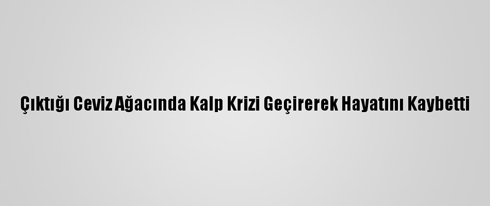Çıktığı Ceviz Ağacında Kalp Krizi Geçirerek Hayatını Kaybetti