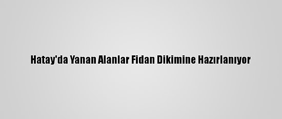 Hatay'da Yanan Alanlar Fidan Dikimine Hazırlanıyor
