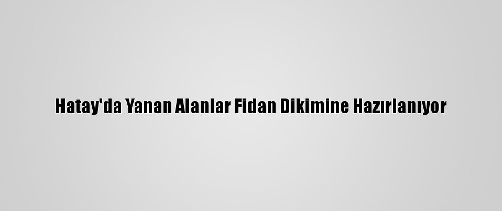 Hatay'da Yanan Alanlar Fidan Dikimine Hazırlanıyor