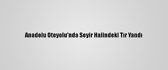 Anadolu Otoyolu'nda Seyir Halindeki Tır Yandı