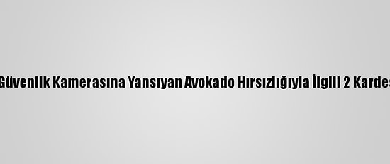 Antalya'da Güvenlik Kamerasına Yansıyan Avokado Hırsızlığıyla İlgili 2 Kardeş Yakalandı