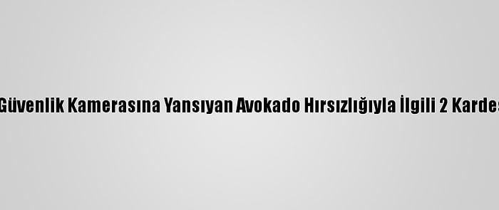 Antalya'da Güvenlik Kamerasına Yansıyan Avokado Hırsızlığıyla İlgili 2 Kardeş Yakalandı