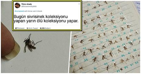 'Nasıl Başladı vs Nasıl Devam Ediyor' Akımı İçin Öldürdüğü Sivrisinekleri Paylaşan Bi' Tuhaf Twitter Kullanıcısı!