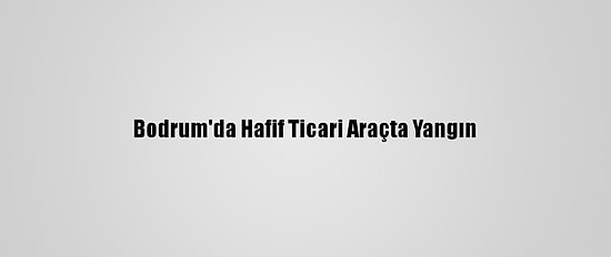 Bodrum'da Hafif Ticari Araçta Yangın