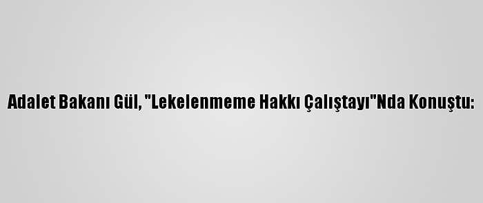 Adalet Bakanı Gül, "Lekelenmeme Hakkı Çalıştayı"Nda Konuştu: