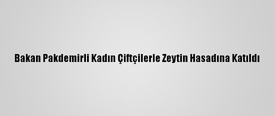 Bakan Pakdemirli Kadın Çiftçilerle Zeytin Hasadına Katıldı