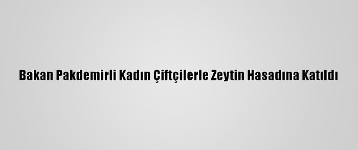 Bakan Pakdemirli Kadın Çiftçilerle Zeytin Hasadına Katıldı