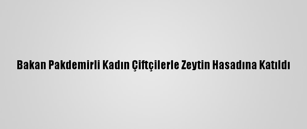 Bakan Pakdemirli Kadın Çiftçilerle Zeytin Hasadına Katıldı