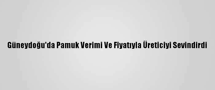 Güneydoğu'da Pamuk Verimi Ve Fiyatıyla Üreticiyi Sevindirdi