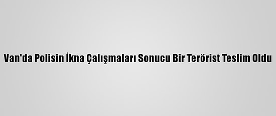 Van'da Polisin İkna Çalışmaları Sonucu Bir Terörist Teslim Oldu