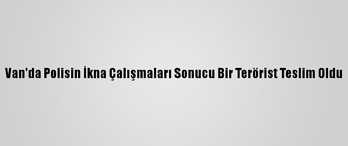 Van'da Polisin İkna Çalışmaları Sonucu Bir Terörist Teslim Oldu