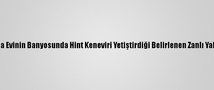 Hatay'da Evinin Banyosunda Hint Keneviri Yetiştirdiği Belirlenen Zanlı Yakalandı