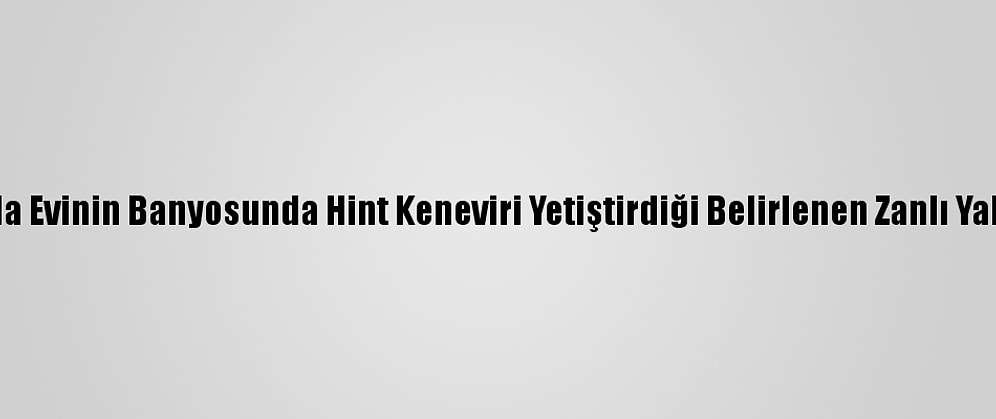 Hatay'da Evinin Banyosunda Hint Keneviri Yetiştirdiği Belirlenen Zanlı Yakalandı
