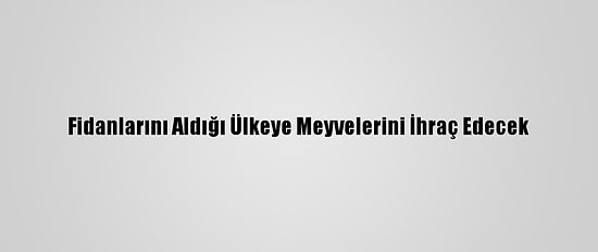 Fidanlarını Aldığı Ülkeye Meyvelerini İhraç Edecek