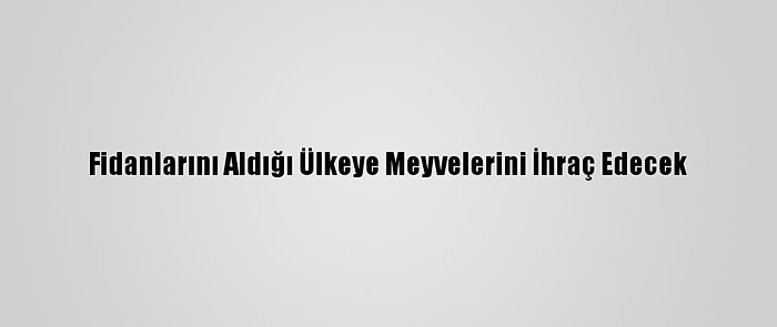 Fidanlarını Aldığı Ülkeye Meyvelerini İhraç Edecek