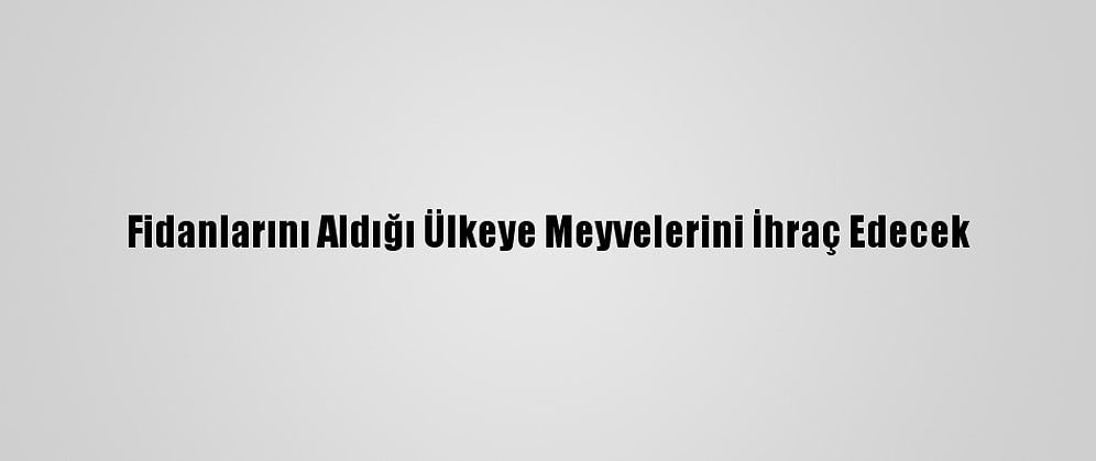 Fidanlarını Aldığı Ülkeye Meyvelerini İhraç Edecek
