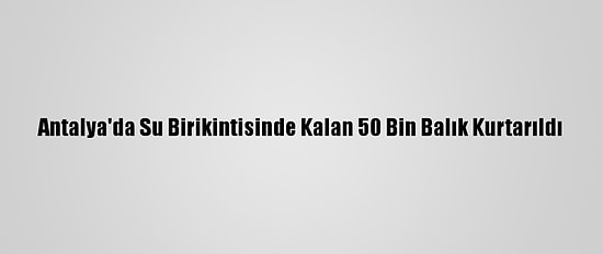 Antalya'da Su Birikintisinde Kalan 50 Bin Balık Kurtarıldı