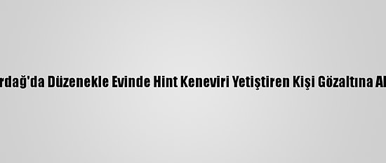 Tekirdağ'da Düzenekle Evinde Hint Keneviri Yetiştiren Kişi Gözaltına Alındı