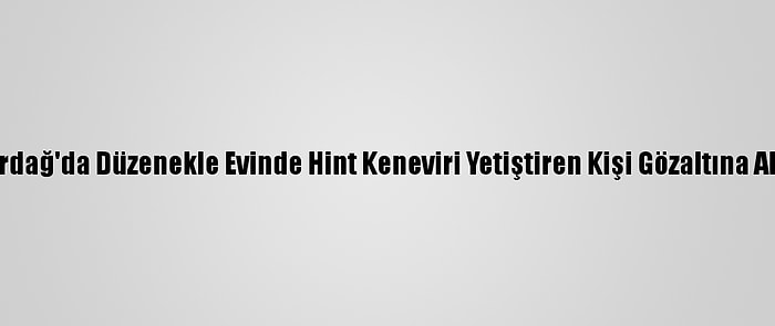 Tekirdağ'da Düzenekle Evinde Hint Keneviri Yetiştiren Kişi Gözaltına Alındı