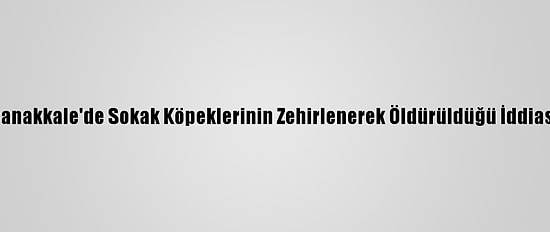 Çanakkale'de Sokak Köpeklerinin Zehirlenerek Öldürüldüğü İddiası