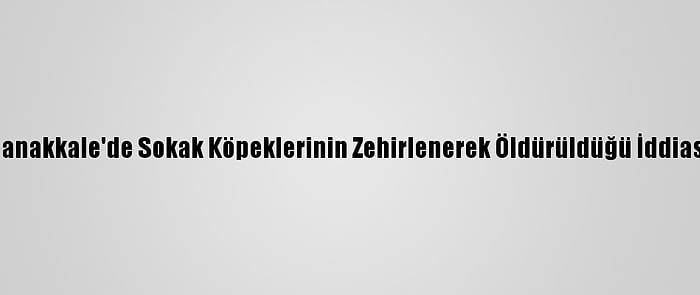 Çanakkale'de Sokak Köpeklerinin Zehirlenerek Öldürüldüğü İddiası