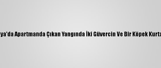 Antalya'da Apartmanda Çıkan Yangında İki Güvercin Ve Bir Köpek Kurtarıldı
