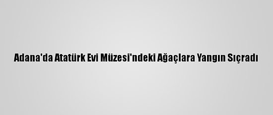 Adana'da Atatürk Evi Müzesi'ndeki Ağaçlara Yangın Sıçradı