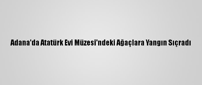 Adana'da Atatürk Evi Müzesi'ndeki Ağaçlara Yangın Sıçradı