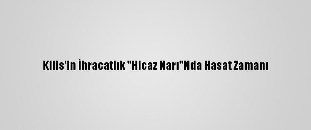 Kilis'in İhracatlık "Hicaz Narı"Nda Hasat Zamanı