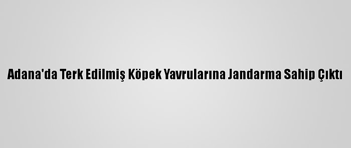 Adana'da Terk Edilmiş Köpek Yavrularına Jandarma Sahip Çıktı