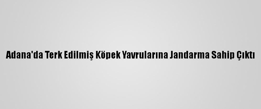 Adana'da Terk Edilmiş Köpek Yavrularına Jandarma Sahip Çıktı