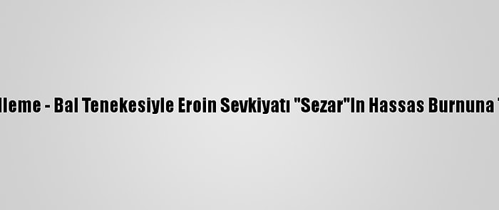 Güncelleme - Bal Tenekesiyle Eroin Sevkiyatı "Sezar"In Hassas Burnuna Takıldı