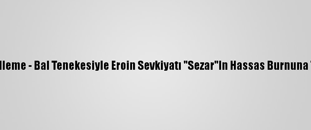 Güncelleme - Bal Tenekesiyle Eroin Sevkiyatı "Sezar"In Hassas Burnuna Takıldı