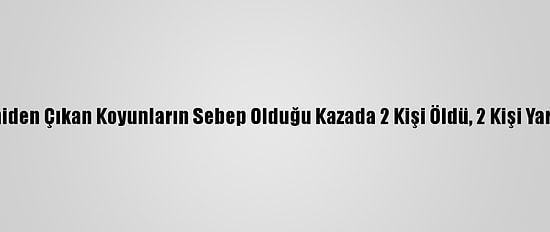 Yola Aniden Çıkan Koyunların Sebep Olduğu Kazada 2 Kişi Öldü, 2 Kişi Yaralandı